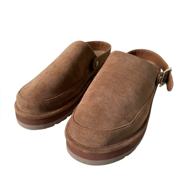 Steve Madden Shoes - Steve Madden Graham Suede Clogs Brown‎ Mule Buckle Womens 7.5 NWOT